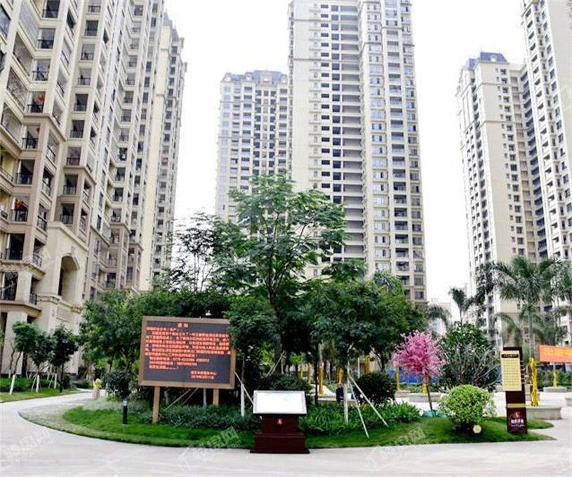 �����ӭ��������������